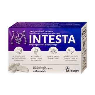 intesta